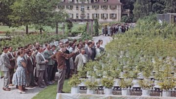 Wirtschaftswunder